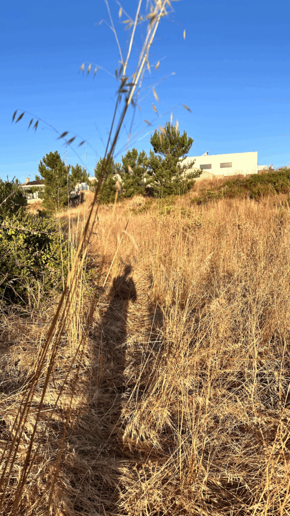 image de moi dans les broussailles