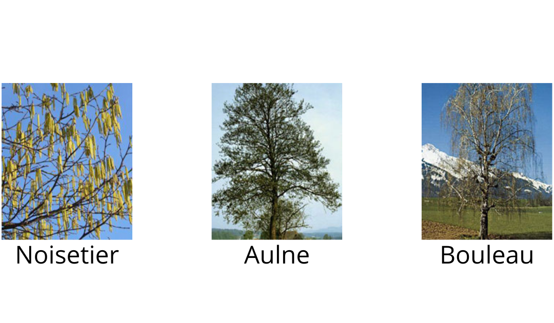 Courir avec des allergies (sans souffrir): 7 astuces