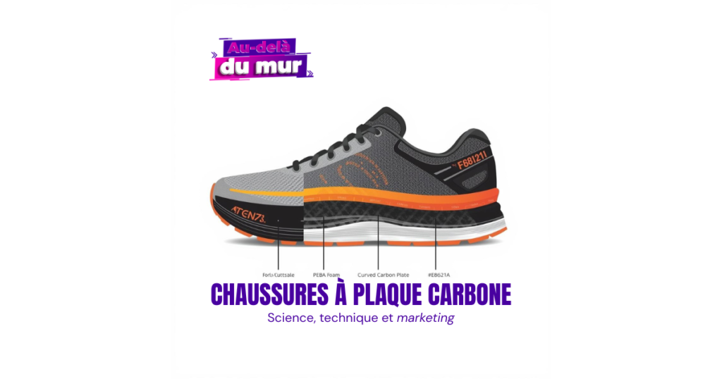 Plaque carbone - vignette blog